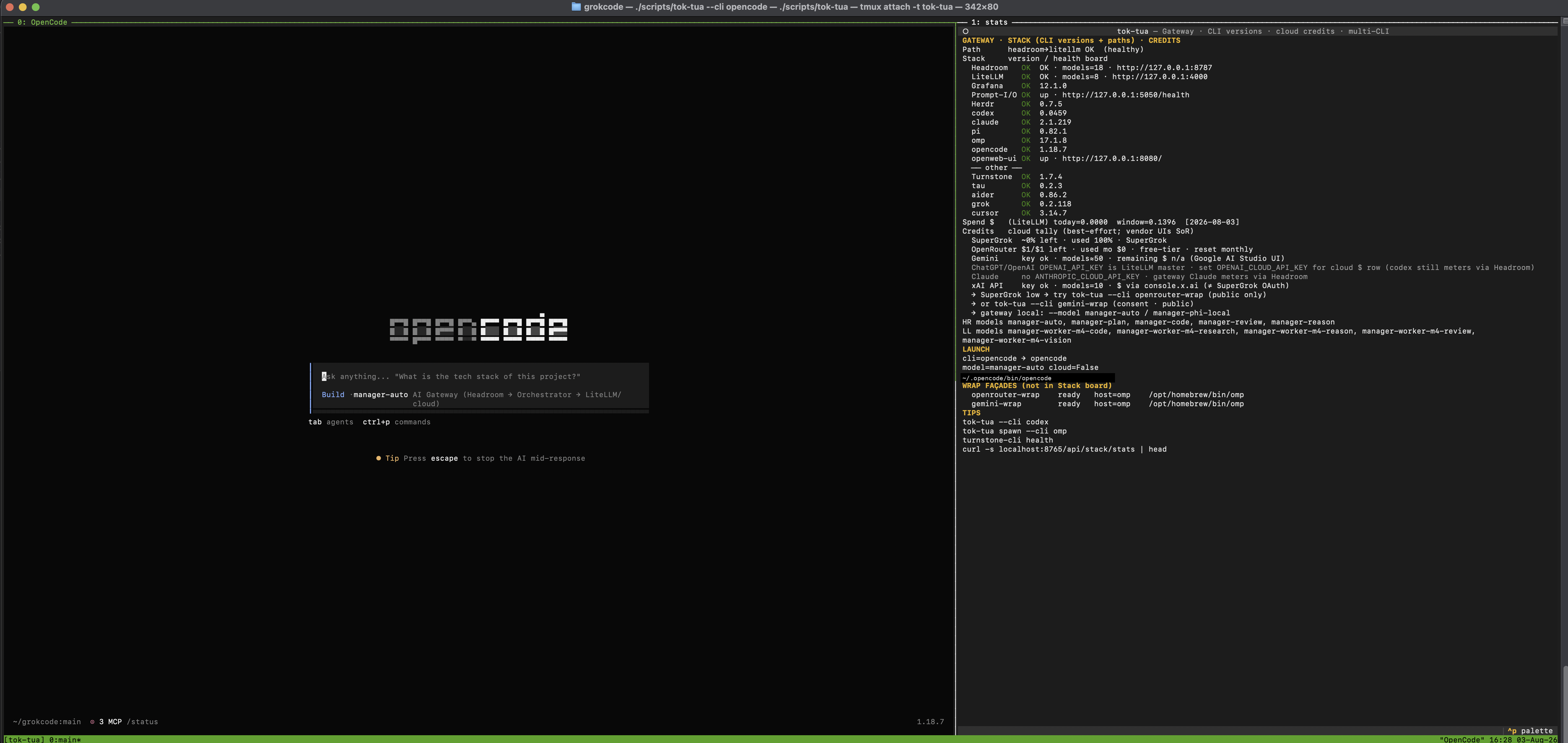 tok-tua dual-pane: OpenCode left, gateway and credits right
